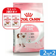 ロイヤルカナン　子猫　キトン　成長後期の子猫用　生後12ヵ月齢まで　2kg×2袋　ジップ付　キャットフー…
