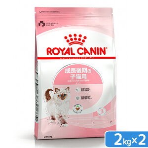 CJi@qL@Lg@̎qLp@12܂Ł@2kg×2܁@Wbvt@Lbgt[h@hC@ll2_