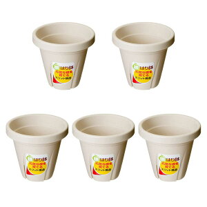 @avX`bN@͂蔫@3@zCg@5@֓