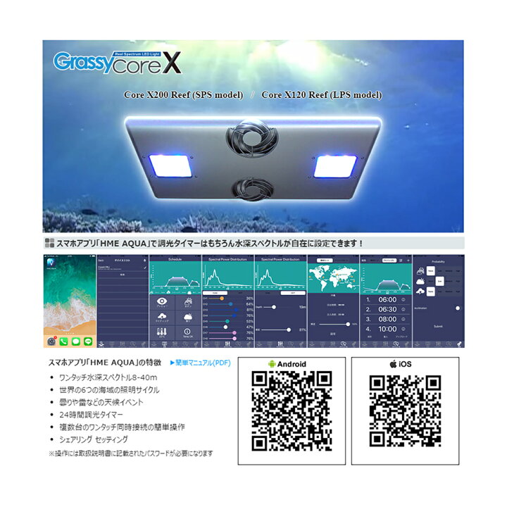 楽天市場】ボルクスジャパン Grassy Core X200 Reef 