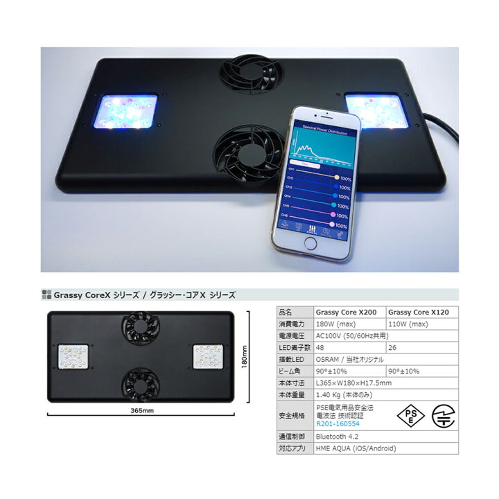 楽天市場】ボルクスジャパン Grassy Core X120 Reef  