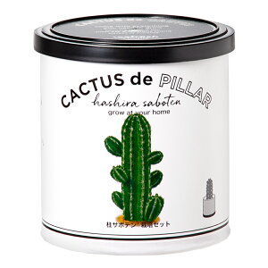 AEgbgi@V|@JN^X@de@JN^X@T{e@͔|Zbg@ƒ؉@Mtg@A@󂠂@֓