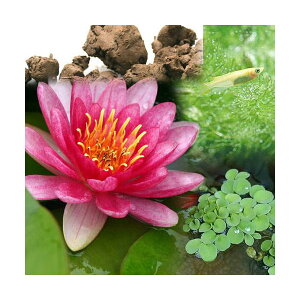 irIg[vji߂jrIAƃ_JZbg@@iXCj@ԁ@ȂZbg@{Bl