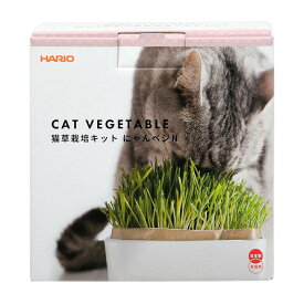 ハリオ　猫草栽培キット　にゃんベジ　セットN　関東当日便