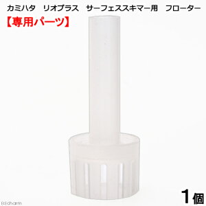 J~n^@IvX@T[tFXXL}[p@t[^[@֓