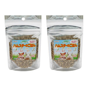 ybgt[h@Rh錾@nX^[̂͂@40g×2@֓