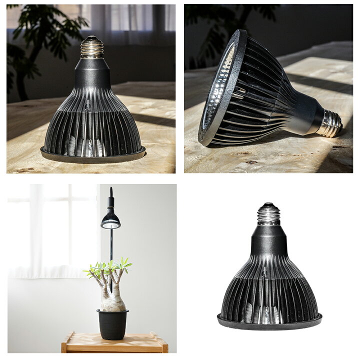 楽天市場】NEO AMATERAS 20W 植物育成用ライト 口金  