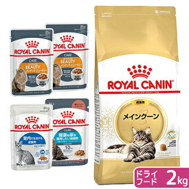 ロイヤルカナン　猫　メインクーン　成猫用　生後15ヵ月齢から12歳まで　2kg　＋　ウェット×4袋　関東当日便