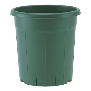 y12^5zIm21I1ő100@Xbg@AbvEFA[@o@12@O[