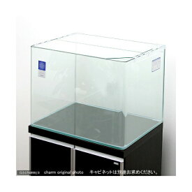 （大型）コトブキ工芸　レグラス　R－600L（60×45×45cm）　60cm水槽（単体）　本州四国送料無料・同梱不可・代引不可　200サイズ