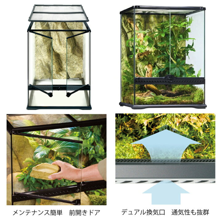 楽天市場】（大型）爬虫類ケージ GEX エキゾテラ グラステラリウム  