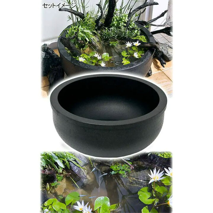 楽天市場】睡蓮鉢 （大型）大型睡蓮鉢（メダカ鉢）超軽量タイプ（約 