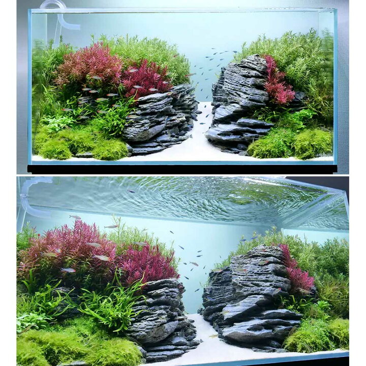 楽天市場】45cm水槽ライトセット アクロ45N（45×27 