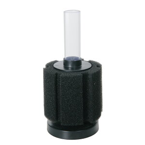 ANAVXe@vWFNgtB^[@BS@S@זځ@֓