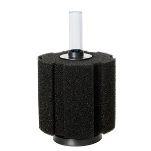 ANAVXe@vWFNgtB^[@BS@M@זځ@֓