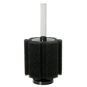 ANAVXe@vWFNgtB^[@BS@L@eځ@֓