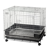 楽天市場】コンフォート60 チンチラスペシャルの通販 