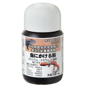 ɂ镲@85g@_XeBO@JVE@h{⋭܁@֓