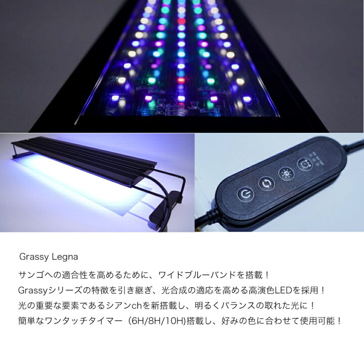 楽天市場】ボルクスジャパン Grassy Legna Marine 