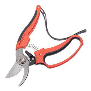 ۈ@}CtBbg@K[f@MF|100@XeX@I@֓