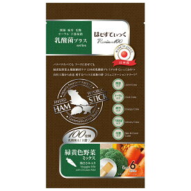 はむすてぃっく　乳酸菌プラスseries　Premium100　緑黄色野菜ミックス　6本　関東当日便
