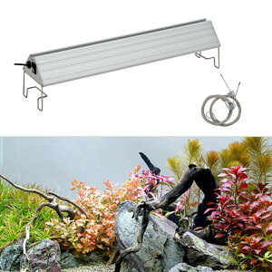 ij̒̍gtZbgitji_j{ANLED@VIVID600@60cmp@{Bl