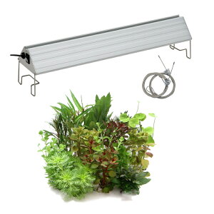 (水草)おまかせ水上葉ミニポット 10ポットセット(無農薬)+アクロLED VIVID450 45cm水槽用 本州四国限定