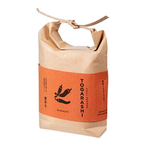 V|@TSUTSUMI@hq@͔|Zbg@ƒ؉@Mtg@֓