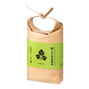 V|@TSUTSUMI@Ot@͔|Zbg@ƒ؉@Mtg@֓