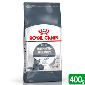 CJi@L@f^PA@CE΂CɂȂ鐬Lp@400g@֓