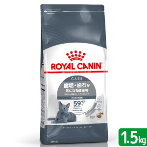 CJi@L@f^PA@CE΂CɂȂ鐬Lp@1D5kg@֓