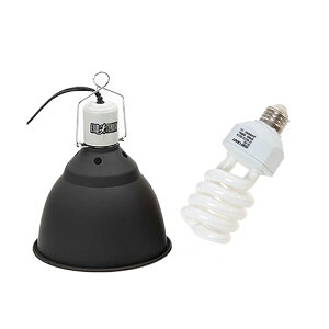 UV}X^[HRCgZbg@Ђ炯ynŕ炷̗p@֓