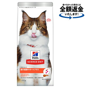 Lbgt[h@TCGX_CGbg@̌NT|[gvX@1Έȏ̐LELp@`L@1D25kg@qY@L@hCt[h@֓