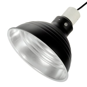 OW@REPTIZOO@tNeBOh[vtBbNX`[@RL05U@֓