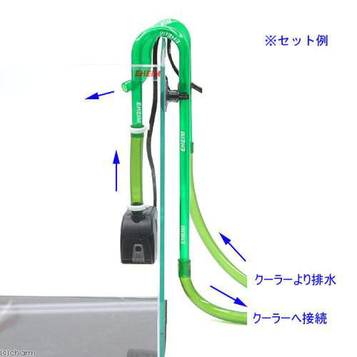 楽天市場】60Hz 水槽用クーラー GEX クールウェイ BK 
