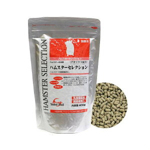 C[X^[@nX^[ZNV@400g×10@nX^[t[h@@GT@a@֓