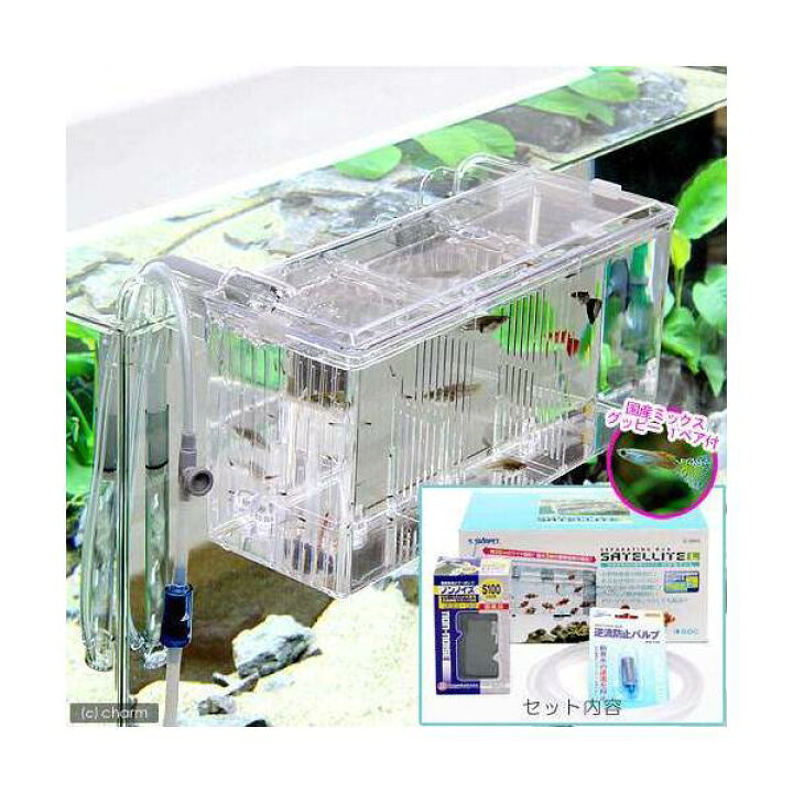 楽天市場】（熱帯魚）外掛式産卵飼育ボックス サテライトL スターター  