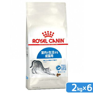 CJi@Lp@ChA@Lp@1`7΂܂Ł@2kg×6@Lbgt[h@ll1_