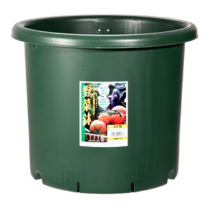 v^[@AbvEFA[@ؔ@33^@O[@ƒ؉@؉v^@֓