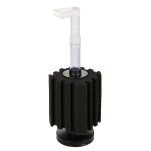 AEgbgi@B|blast@TCgouX|WtB^[@ML@󂠂@֓