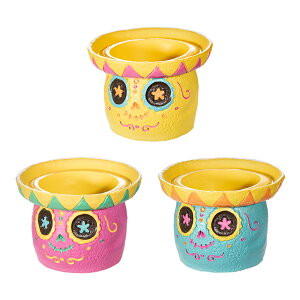 @gW|bg@Jx@1|bgp@F܂@Jo[@֓