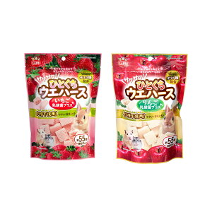 A\[g@}J@TNTNIЂƂEGn[X@85g@21܁@@nX^[@@֓