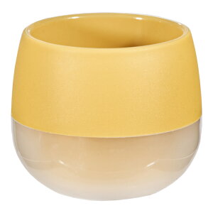 @g@rr@X[L[̔@}X^[hCG[@6×H5D3cm@nChJ`[@|bg@֓