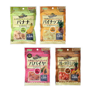 A^@_ەt@ZNg@t[cn@4e1܁@@nX^[@@֓