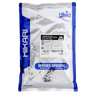 L[@pNA@}bV@1kg@_J̉a@֓