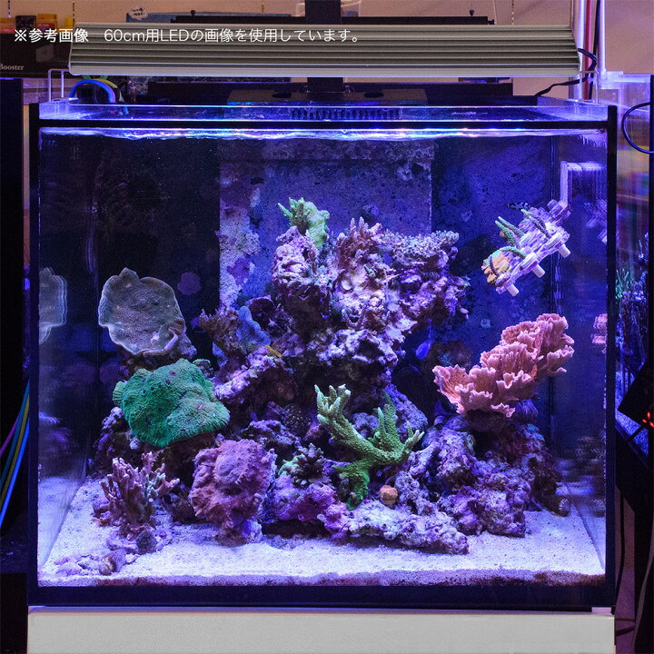 楽天市場】アクロ TRIANGLE LED MARINE Pro 