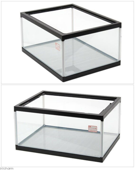 楽天市場】らんちゅう水槽 600ワイド 60×45×30cm 60cm  