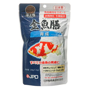 {i@j`hE@V@琬@220g@̂@ƉuێT|[g@̉a@֓