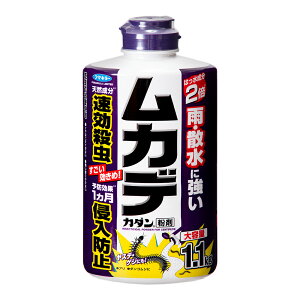 t}L[@Jf@J_@ܓp@1D1kg@֓