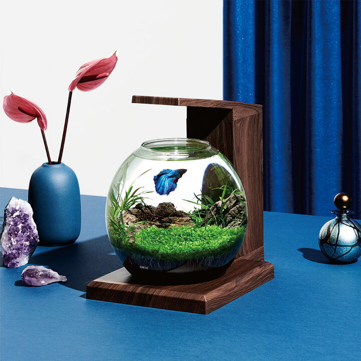 楽天市場】GEX 水槽セット グラスアクア PERCO B−Dark  